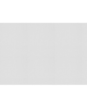 9729 Обои Marburg (Patent Decor) (1*4) 25,0х1,06 флиз-foto2