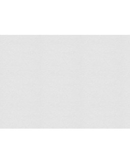 9755 Обои Marburg (Patent Decor) (1*4) 25,0х1,06 флиз-foto2