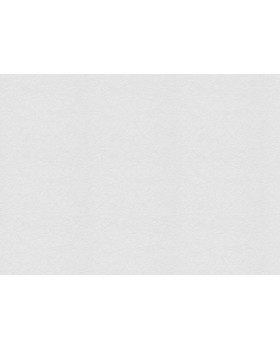 9755 Обои Marburg (Patent Decor) (1*4) 25,0х1,06 флиз-foto2