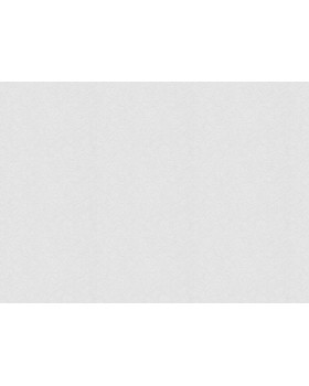 9757 Обои Marburg (Patent Decor)  (1*4) 25,0х1,06 флиз-foto2