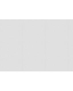 9779 Обои Marburg (Patent Decor) (1*4) 25,0х1,06 флиз-foto2