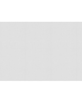 9779 Обои Marburg (Patent Decor) (1*4) 25,0х1,06 флиз-foto2