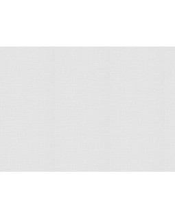 9764 Обои Marburg (Patent Decor) (1*4) 25,0х1,06 флиз-foto2