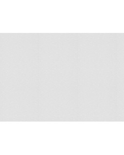 9307 Обои Marburg (Patent Decor) (1*4) 25,0x1,06 винил на флизе-foto2