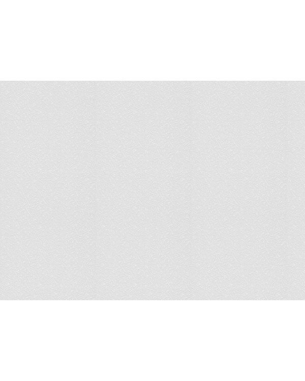 9307 Обои Marburg (Patent Decor) (1*4) 25,0x1,06 винил на флизе