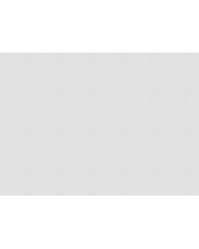 9310 Обои Marburg (Patent Decor) (1*4) 25,0x1,06 винил на флизе-foto2