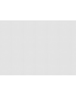 9322 Обои Marburg (Patent Decor) (1*4) 25,0x1,06 винил на флизе-foto2