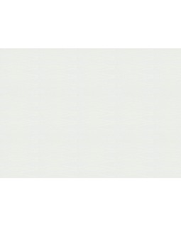 9438 Обои Marburg (Patent Decor) (1*6) 10,05х0,53 винил на флизе-foto2