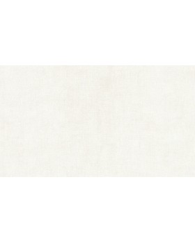 BN 46011 Обои BN (Color Stories II) (1*12) 10,05х0,53 винил на флизе