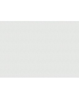 9341 Обои Marburg (Patent Decor) (1*4) 25,0х1,06 флиз-foto2