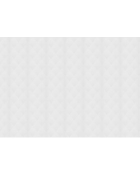 1884 Обои Marburg (Patent Decor) (1*9) 10,05х1,06 флиз-foto2