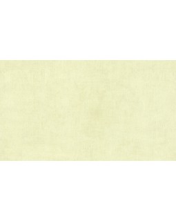 BN 48466 Обои BN (Color Stories II) (1*12) 10,05х0,53 винил на флизе