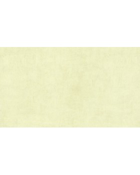 BN 48466 Обои BN (Color Stories II) (1*12) 10,05х0,53 винил на флизе BN 48466 Обои BN (Color Stories II) (1*12) 10,05х0,53 винил на флизе