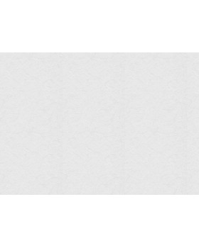 9711 Обои Marburg (Patent Decor) (1*4) 25,0х1,06 флизелин-foto2