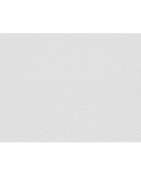 9758 Обои Marburg (Patent Decor)  (1*4) 25,0х1,06 флиз