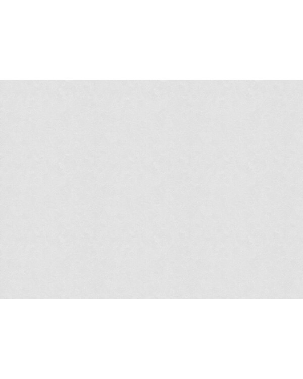 9756 Обои Marburg (Patent Decor) (1*4) 25,0х1,06 флиз
