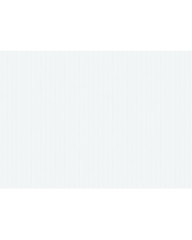 LL-03-04-9 Обои Grandeco (Jack 'n Rose 2024/Jack 'n Rose New) (1*12) 10,05х0,53 винил на флизелине-foto2