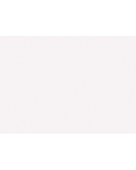 LL-09-01-6 Обои Grandeco (Jack 'n Rose 2024/Jack 'n Rose New) (1*12) 10,05х0,53 винил на флизелине-foto2