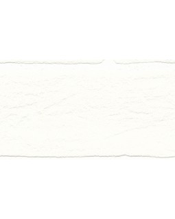 9442 Обои Marburg (Patent Decor) (1*12) 10,05х0,53 винил на флизе-foto2