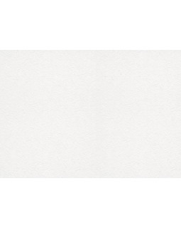 9245 Обои Marburg (Patent Decor Laser) (1*4) 25,00 x 1,06 винил на флизе-foto2