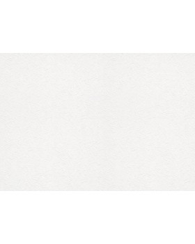 9245 Обои Marburg (Patent Decor Laser) (1*4) 25,00 x 1,06 винил на флизе-foto2