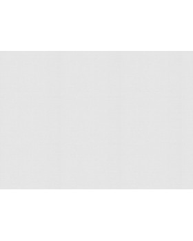 9787 Обои Marburg (Patent Decor) (1*4) 25,0х1,06 флиз-foto2