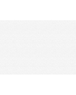 9234 Обои Marburg (Patent Decor Laser) (1*4) 25,00x1,06 винил на флизе-foto2