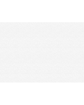 9234 Обои Marburg (Patent Decor Laser) (1*4) 25,00x1,06 винил на флизе-foto2