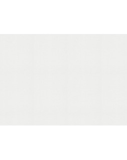 9221 Обои Marburg (Patent Decor Laser) (1*4) 25,00x1,06 винил на флизе-foto2