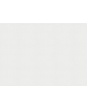 9223 Обои Marburg (Patent Decor Laser) (1*4) 25,00x1,06 винил на флизе-foto2