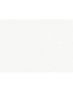 9228 Обои Marburg (Patent Decor Laser) (1*4) 25,00x1,06 винил на флизе-foto2