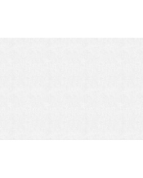 9235 Обои Marburg (Patent Decor Laser) (1*4) 25,00x1,06 винил на флизе-foto2