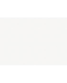 9243 Обои Marburg (Patent Decor Laser) (1*4) 25,00x1,06 винил на флизе-foto2