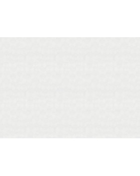 9525 Обои Marburg (Patent Decor Laser) (1*4) 25,00x1,06 винил на флизе-foto2