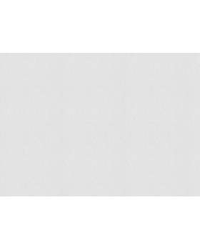 9760 Обои Marburg (Patent Decor) (1*4) 25,0х1,06 флиз-foto2