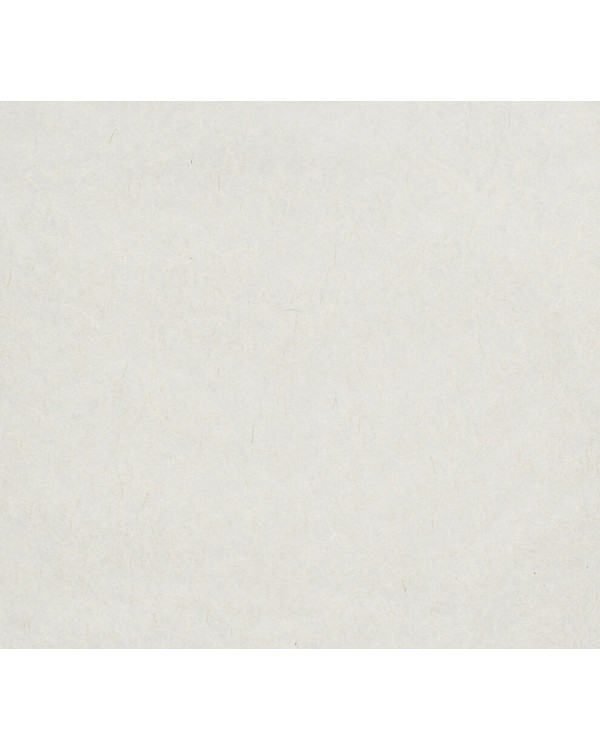 9799 Обои Marburg (Patent Decor) (1*4) 25,0х0,75 флиз