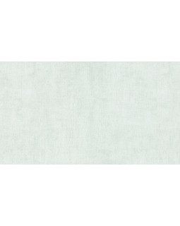BN 48463 Обои BN (Color Stories II) (1*12) 10,05х0,53 винил на флизе