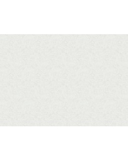 9731 Обои Marburg (Patent Decor) (1*4) 25,00 x 1,06 винил на флизе-foto2