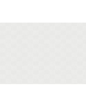 9225 Обои Marburg (Patent Decor Laser) (1*4) 25,00x1,06 винил на флизе-foto2