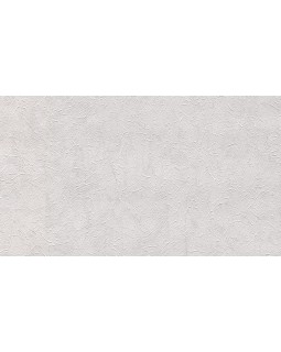 BN 17115 Обои BN (Van Gogh 2/Van Gogh) (1*12) 10,05х0,53 винил на флизе-foto2