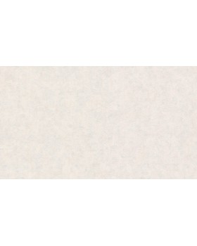 BN 17116 Обои BN (Van Gogh 2/Van Gogh) (1*12) 10,05х0,53 винил на флизе BN 17116 Обои BN (Van Gogh 2/Van Gogh) (1*12) 10,05х0,53 винил на флизе