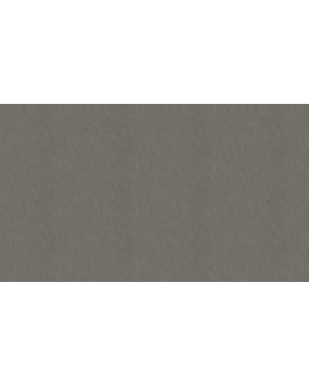 BN 17121 Обои BN (Van Gogh 2/Van Gogh) (1*12) 10,05х0,53 винил на флизе-foto3