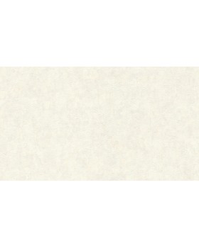 BN 17124 Обои BN (Van Gogh 2/Van Gogh) (1*12) 10,05х0,53 винил на флизе BN 17124 Обои BN (Van Gogh 2/Van Gogh) (1*12) 10,05х0,53 винил на флизе