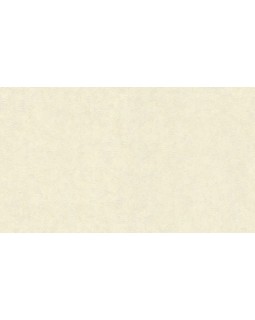 BN 17129 Обои BN (Van Gogh 2/Van Gogh) (1*12) 10,05х0,53 винил на флизе