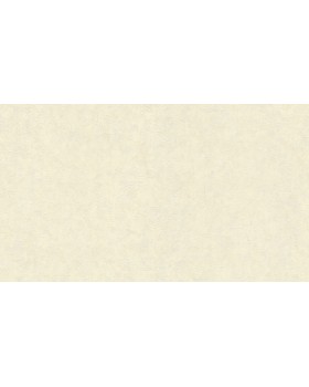 BN 17129 Обои BN (Van Gogh 2/Van Gogh) (1*12) 10,05х0,53 винил на флизе