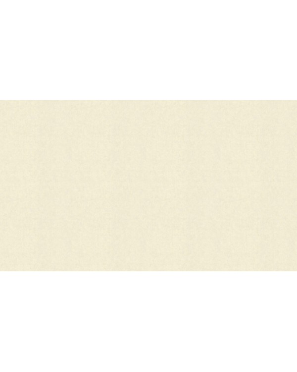 BN 17129 Обои BN (Van Gogh 2/Van Gogh) (1*12) 10,05х0,53 винил на флизе