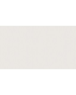 BN 17320 Обои BN (Cubiq) (1*12) 10,05x0,53 винил на флизелине-foto2