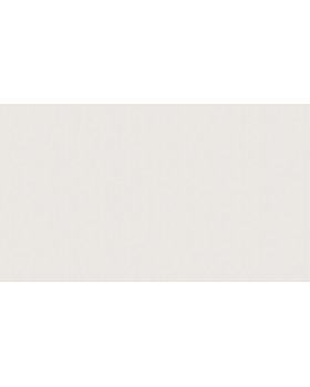 BN 17320 Обои BN (Cubiq) (1*12) 10,05x0,53 винил на флизелине-foto2