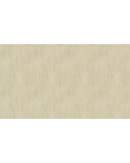 BN 217987 Обои BN (Timeless Stories) (1*12) 10,05x0,53 винил на флизелине-foto3