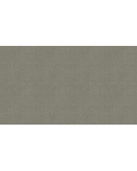 BN 218512 Обои BN (Color Stories II) (1*12) 10,05x0,53 винил на флизелине-foto3